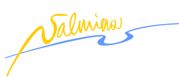logo-partner